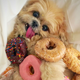 Illustration for article titled Southern California is Dealing with Dunkin Donuts